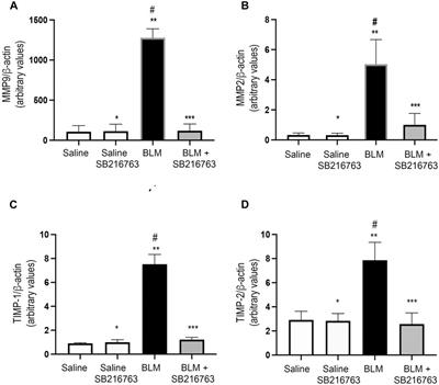 GSK-3 Inhibition Modulates Metalloproteases in a Model of Lung Inflammation and Fibrosis